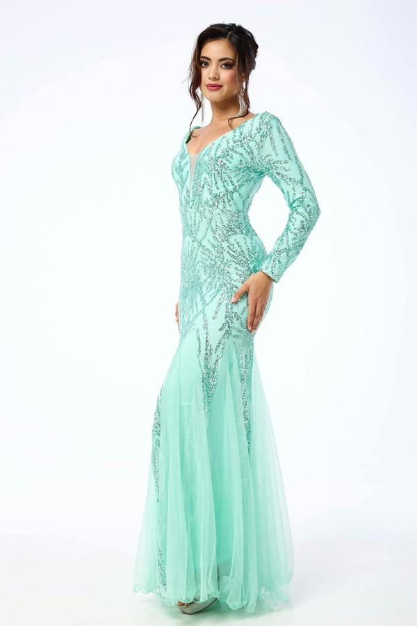 LuvForever Eliza - Mint Long Sleeve Sequin Maxi Dress
