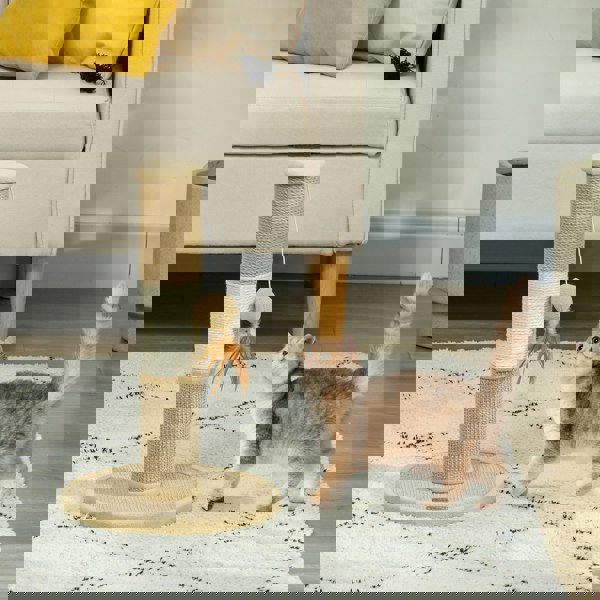 D30-811V00BN