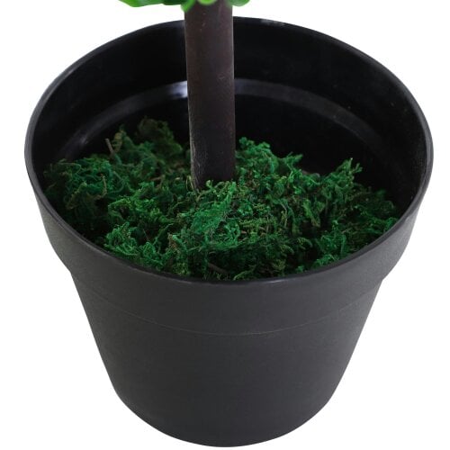 Wyld Haus Virova Artificial Green Honeysuckle Flower Plant With Curved Stems In Pot For Indoor Use