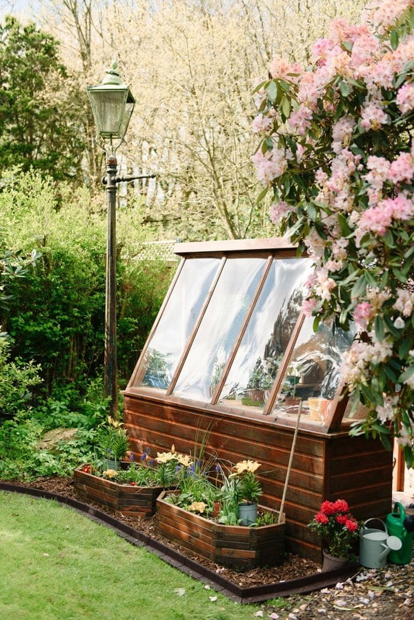 FlexiBorder Brown FlexiBorder