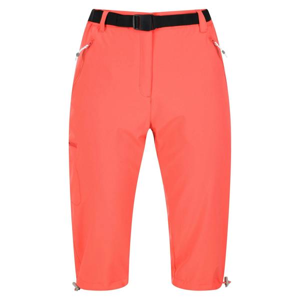 Regatta Womens/Ladies Xert Stretch Casual Shorts - Neon Peach - 
