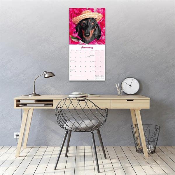 Dachshund Calendar 2027, Wall Calendars, Month To View, Dogs, Gift