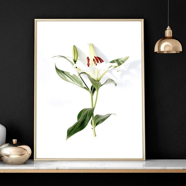 Wall prints for living room | Set of 2 Botanical wall art