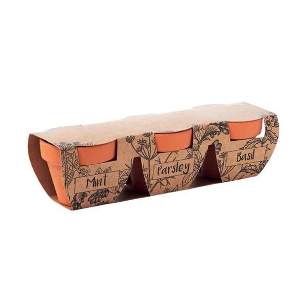 MidOcean Flowerpot Terracotta Herb Seeds Plant Pot (Pack of 3) - Wood - 