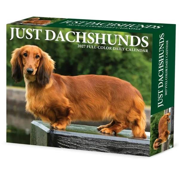 Just Dachshunds Desk Calendar 2027, Desk Calendars, Day To View, Dogs, Gift