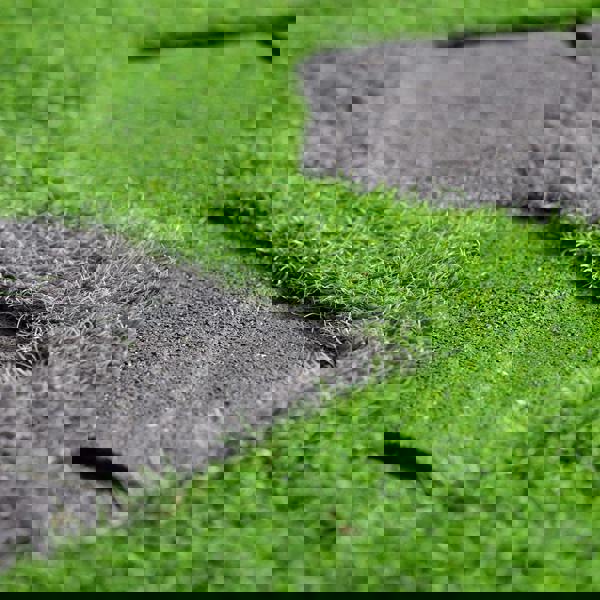 Nicoman Eco-Friendly Garden Stepping Stones - Walkway