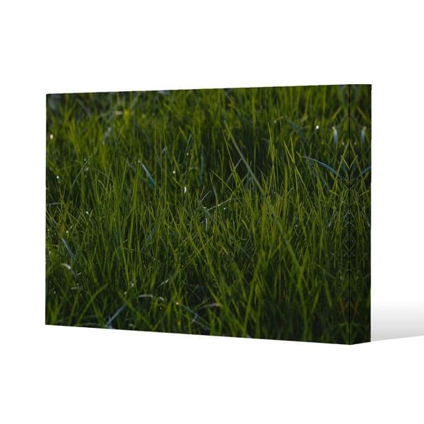 Benjamin Tate Design Fresh green grass background, natural grass Slim Style Canvas Print  90x120cm , 15mm Slim Real wood.