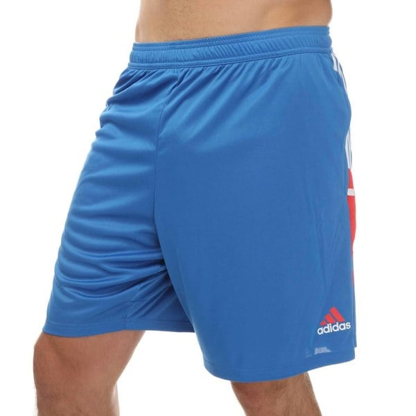 Adidas Mens Bayern Munich 2022/23 Training Shorts - Royal Blue