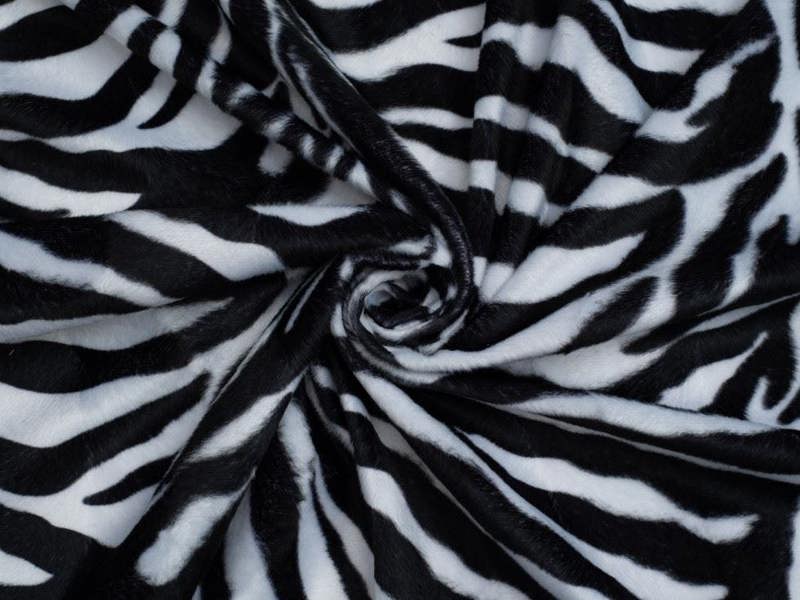 White Zebra