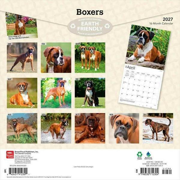 Boxers Calendar 2027, Wall Calendars, Month To View, Dogs, Gift