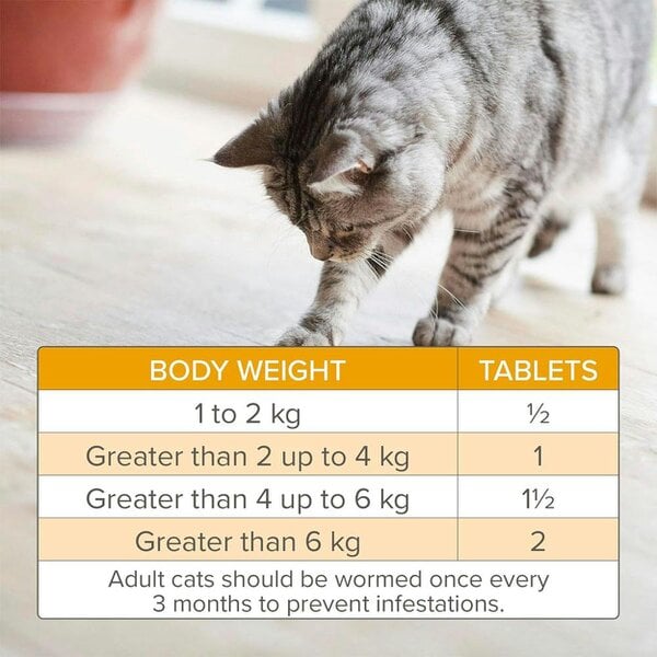 Beaphar WORMclear for Cats and Kittens (2 Tablets)