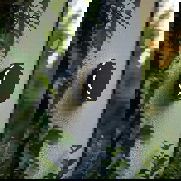 black wall outdoor lamp mounted on a white exterior wall amongst green plants 