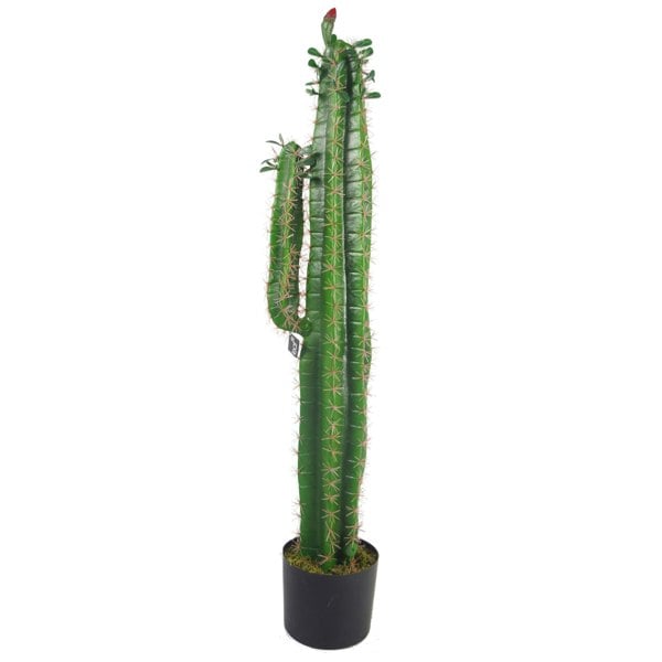 Leaf 100cm Premium Artificial Cactus with pot