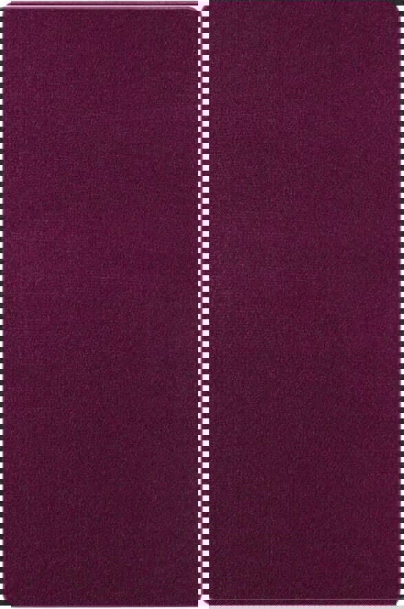 The Rugs Luxurious Plain Design Rug for Every Home