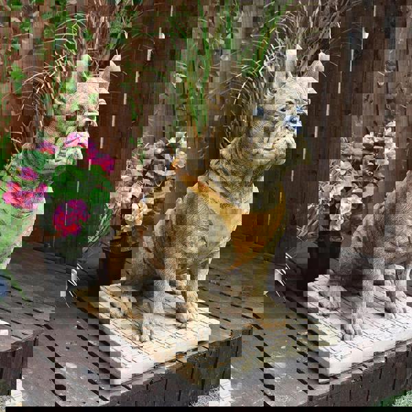 Pair of Life Size French Bulldog Statues