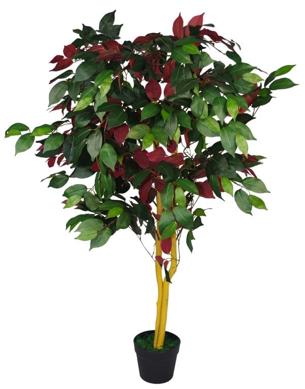 Leaf 120cm (4ft) Artificial Capensia Tree Ficus Plant - Extra Large