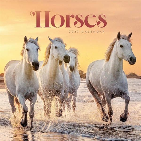 Horses Calendar 2027, Wall Calendars, Month To View, Animals, Gift