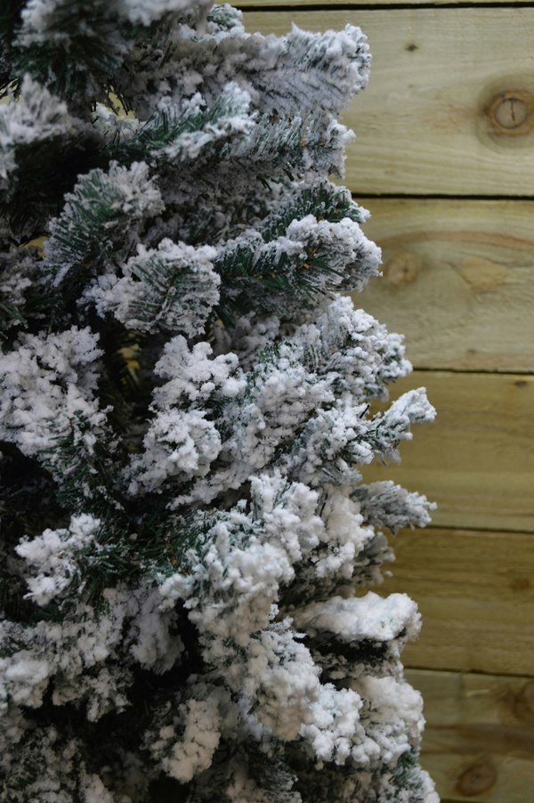 Samuel Alexander 6.5ft (2m) Premier Snow Flocked PVC Spruce Pine Slim Christmas Tree in Green