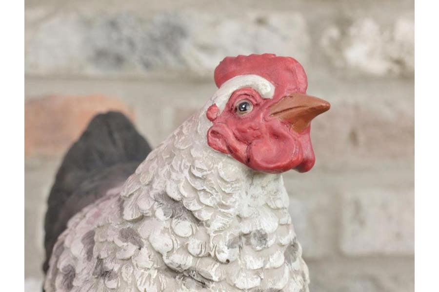 Chicken Garden and Home ornament