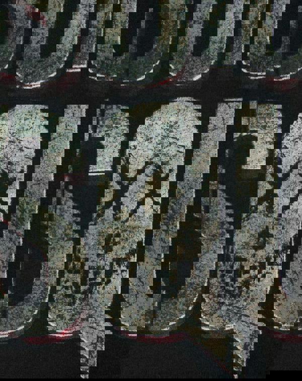 DC Comics Mens Black Suicide Squad Logo Short Sleeved T-Shirt