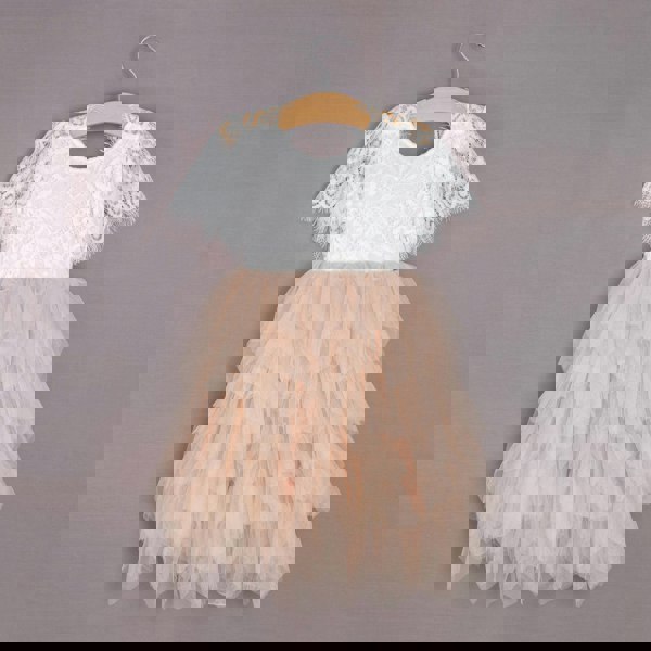 Baby Princess Flutter Dress