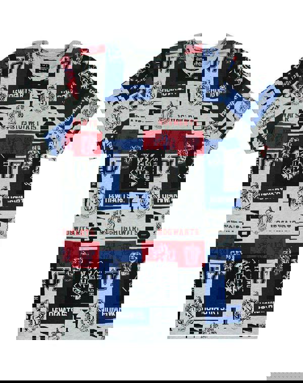 Harry Potter Mens Grey Hogwarts Houses Short Sleeved T-Shirt