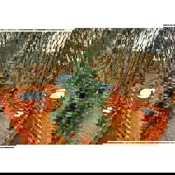 Stjarna Barrel Sauna 400