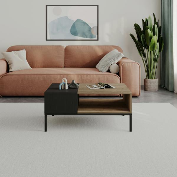 Decortie Modern Rectangular Coffee Table with Dual-Side Open Shelf Storage, Living Room, Office, Metal Legs