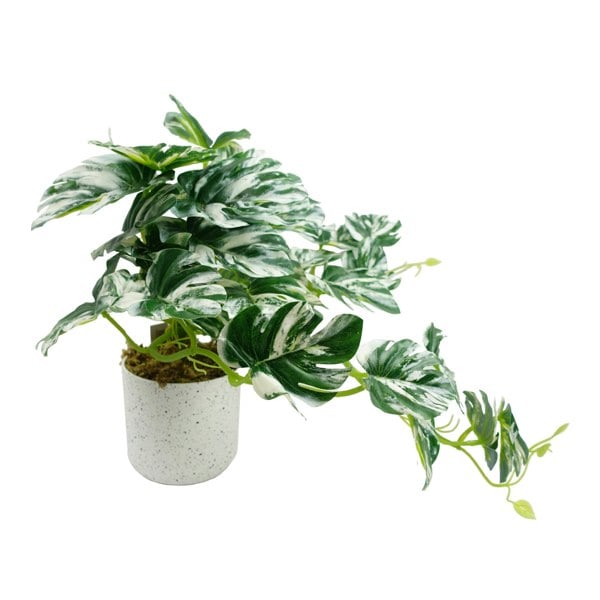 Leaf 30cm Artificial Variegated Green Potted Monstera Trailing Plant