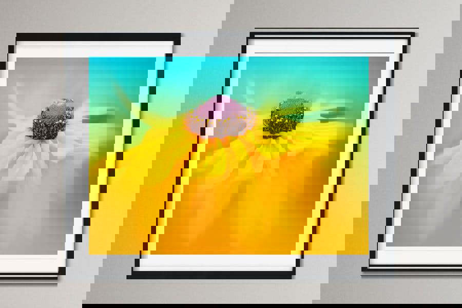 framed art print of a yellow rudbeckia flower