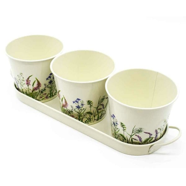 The British Gardening Company Set of 3 Wildflower Design Metal Planters with Tray