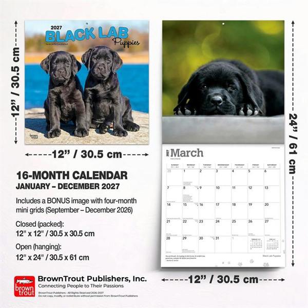 Black Lab Puppies Calendar 2027, Wall Calendars, Month To View, Dogs, Gift