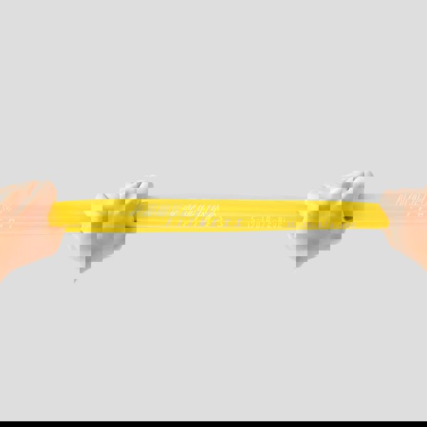 Myga Phoenix Fitness TPR Resistance Loop Bands