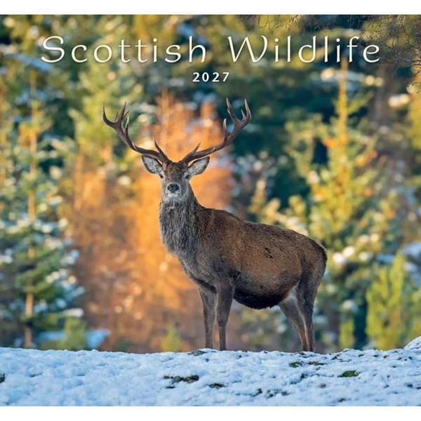 Colin Baxter, Scottish Wildlife Calendar 2027, Wall Calendars, Month To View, Animals, Gift