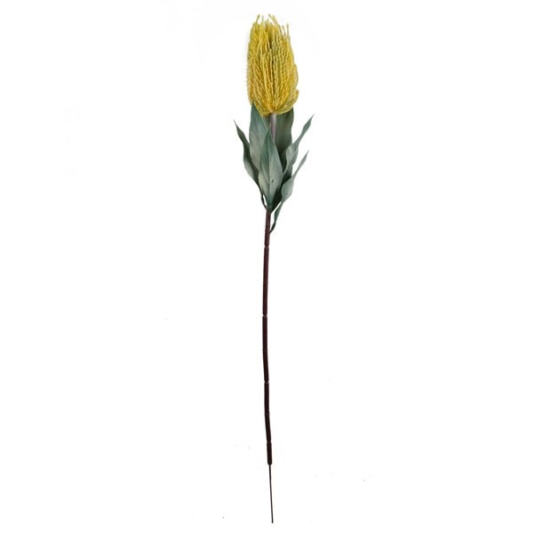 Leaf Pack of 6 x 75cm Banksia Menziesii Yellow Flower Stem Artificial