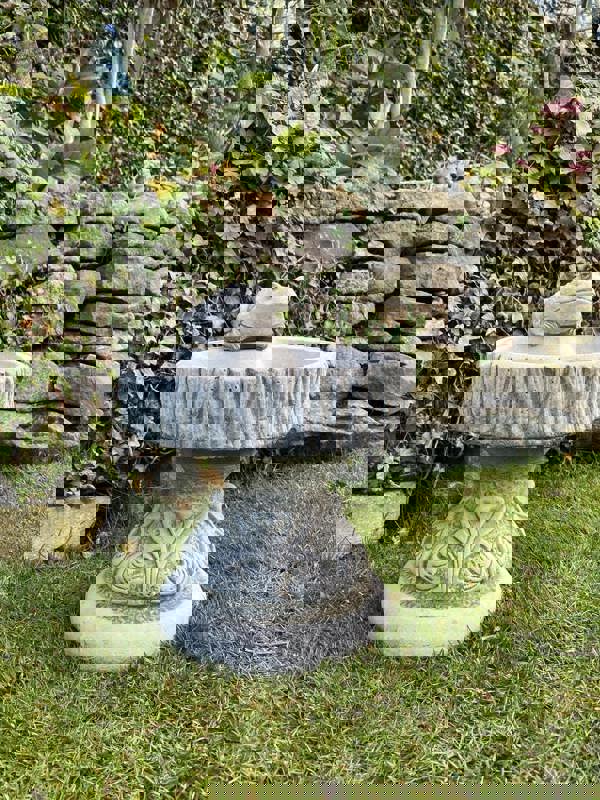 Rustic Garden Birdbath with Frog atop