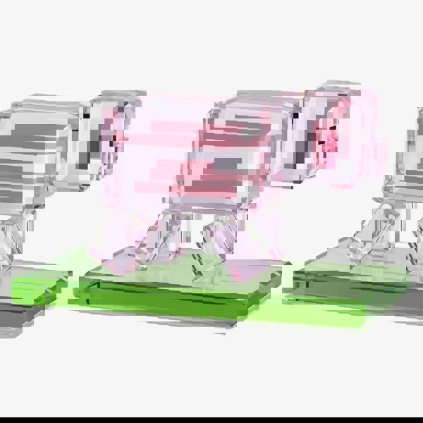 Swarovski Minecraft Pig Figurine 5701273