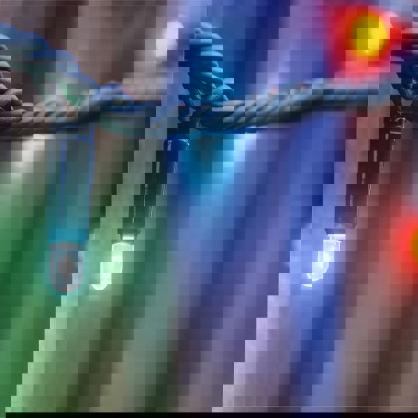 Eagle Connect Led String Lights Black Rubber RGBY Flash  5M