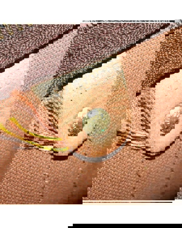 221871344.jpg