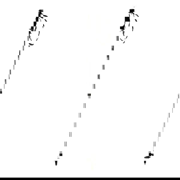 Regatta Unisex Adults Lightweight Aluminium Telescopic Walking Pole - Silver - 