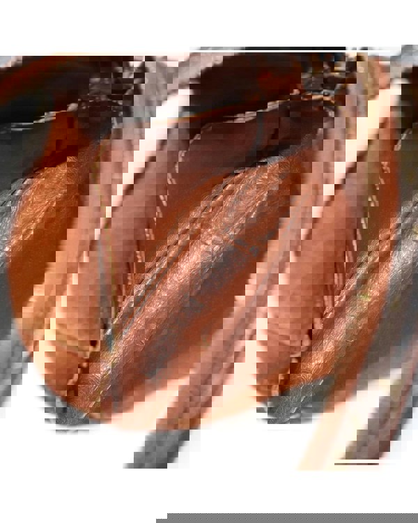 203754627.jpg