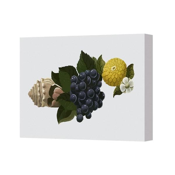 Benjamin Tate Design Grapes and Floral Still Life Canvas Wall Art Decor