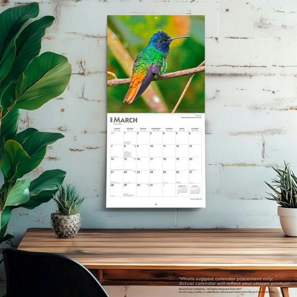 Hummingbirds Calendar 2027, Wall Calendars, Month To View, Animals, Gift