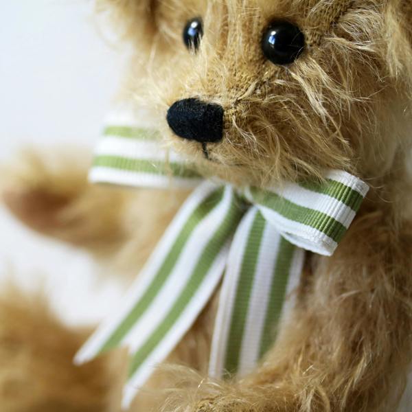 Canterbury Bears Wilfred