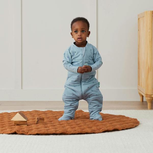 ergoPouch - Organic Winter Long Sleeved Sleep Onesie - Dragonflies - 2.5 TOG
