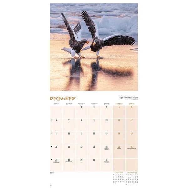 Comedy Wildlife Photography Awards Calendar 2027, Wall Calendars, Month To View, Humour, Gift