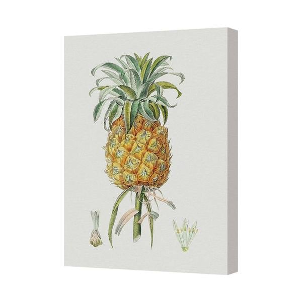 Benjamin Tate Design Pineapple Botanical Canvas Art Print On Deep Wooden Frame UK Handmade