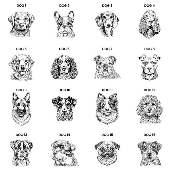 Personalised Dog Breed Framed Print - lifestyle shot
