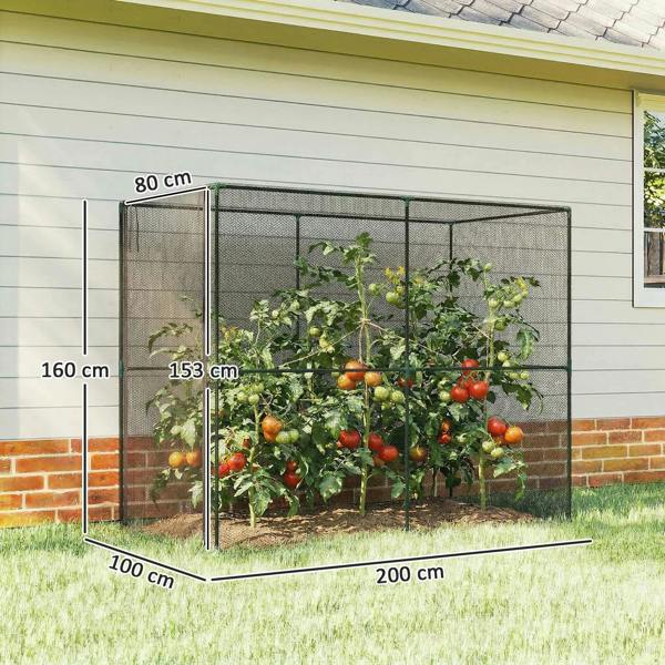 Crop Cage