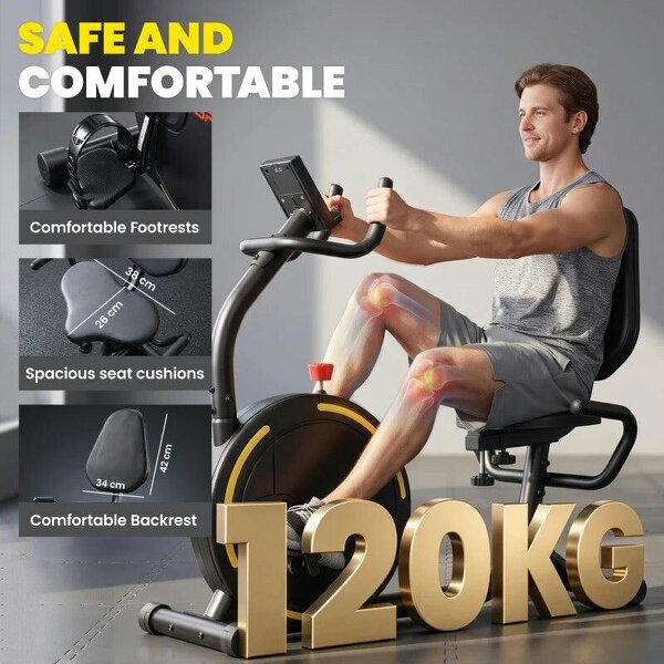 Recumbent Exercise Bike for Home, Indoor Stationary Bike for Seniors with App Connectivity, 0-100% Magnetic Resistance